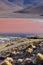 Colorful Laguna Colorada on the plateau Altiplano in Bolivia