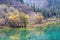 Colorful lake and forset in autumn at jiuzhai valley national park, China