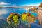 Colorful lake Luzern and Pilatus mountain peak view