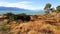 Colorful Lake tekapo in new zeeland