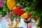 Colorful lampions in Hoi An, Vietnam, street decorated with Chinese Lanterns