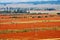 The colorful landscape of Bashang grassland in Hebei province