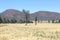 Colorful landscape in Flinders Ranges National Park, South Australia