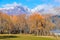 Colorful landscape in Glenorchy, New Zealand