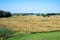 Colorful landscape of meadows at the natural flood plain of the river Waal, Groessen, The Netherlands