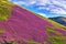 Colorful landscape scenery of Pentland hills slope covered by vi