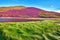 Colorful landscape scenery of Pentland hills slope covered by vi