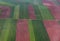 Colorful lavender fields viewed from the airplane