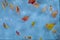 Colorful leaves on blue bubbling water.  Texture, background, abstraction