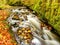 Colorful leaves caught in mountain river, autumn colors in stream. Wave over mossy stone