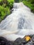 Colorful leaves caught in mountain stream