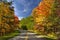 Colorful Leaves in Great Smoky Mountains, TN, USA