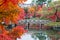 Colorful leaves and scenery Stone bridge and pond background in Eikando temple, beautiful nature garden in Autumn foliage season,