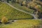 Colorful leaves on trees and vines in vineyards near Rotenberg, Germany