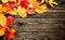 Colorful leaves on a wooden background