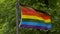 Colorful LGBT flag waves in wind against lush tree branches