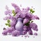 Colorful Lilac Arrangement: 3d Effect Vase On White Background