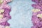 Colorful lilac flowers border on blue background. Top view, copy
