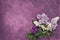 Colorful Lilac flowers bouquet on violet background. Greeting card. Copy space, top view