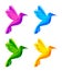 Colorful little birds colibri