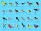 Colorful Little Birds Side View Cartoon Vector Illustration
