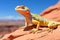 a colorful lizard basking in the sun atop a desert rock