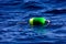 Colorful Lobster Buoy on Water