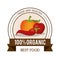 Colorful logo of fresh and healthy organic food with chilli pumpkin and apple