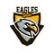 Colorful logo, sticker, emblem of a eagle. Flying bird, hunter, predator, dangerous animal, shield, lettering. Mascot