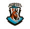 Colorful logo, sticker, horse emblem. Beautiful stallion, horse racing, fast animal, mascot of the sports club. Shield