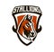 Colorful logo, sticker, horse emblem. Beautiful stallion, horse racing, fast animal, mascot of the sports club. Shield