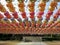 Colorful lotus lanterns on the day before Buddha`s Birthday, Yongjusa Temple, Korea