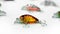 Colorful lures for fishing enthusiasts.