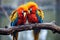 colorful macaws preening each other on a tree branch