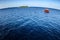 Colorful maldivian dhoni boat in vast blue ocean near a tropical island