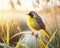 A Colorful Male Common Yellowthroat Perched Marsh Bulrush Springtime Morning Sunrise Small Bird AI Generated