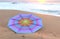 Colorful Mandalas on wood for anti-stress therapy and yoga on sand with sea view, sunrise time 3d illustration