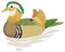 colorful mandarin duck bird vector illustration transparent background