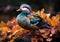 A colorful mandarin duck stands on some rocks