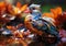 A colorful mandarin duck stands on some rocks