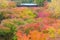 Colorful Maple Leaf Colors Tree in Japan Travel Autumn Season at Tofukuji Temple Kyoto