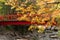 Colorful maple leaves autumn with red wodden  bridge background over small stream