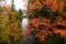 Colorful maple tree and fall foliage along creek