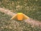 Colorful mark in football playfield. White line marks painted on artificial green turf background.