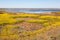 Colorful marsh landscape in Guerrero Negro, Baja California Sur, Mexico