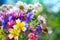 Colorful meadow flowers summer bouquet i