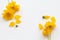 Colorful mellow yellow flowers cosmos local flora of asia arrangement flat lay postcard style