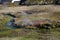 Colorful Minerals with Hot Steam Rising from a River