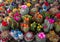 Colorful miniature cacti at the flower market, Amsterdam, Holland,