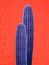 Colorful minimal design with cacti, cactus